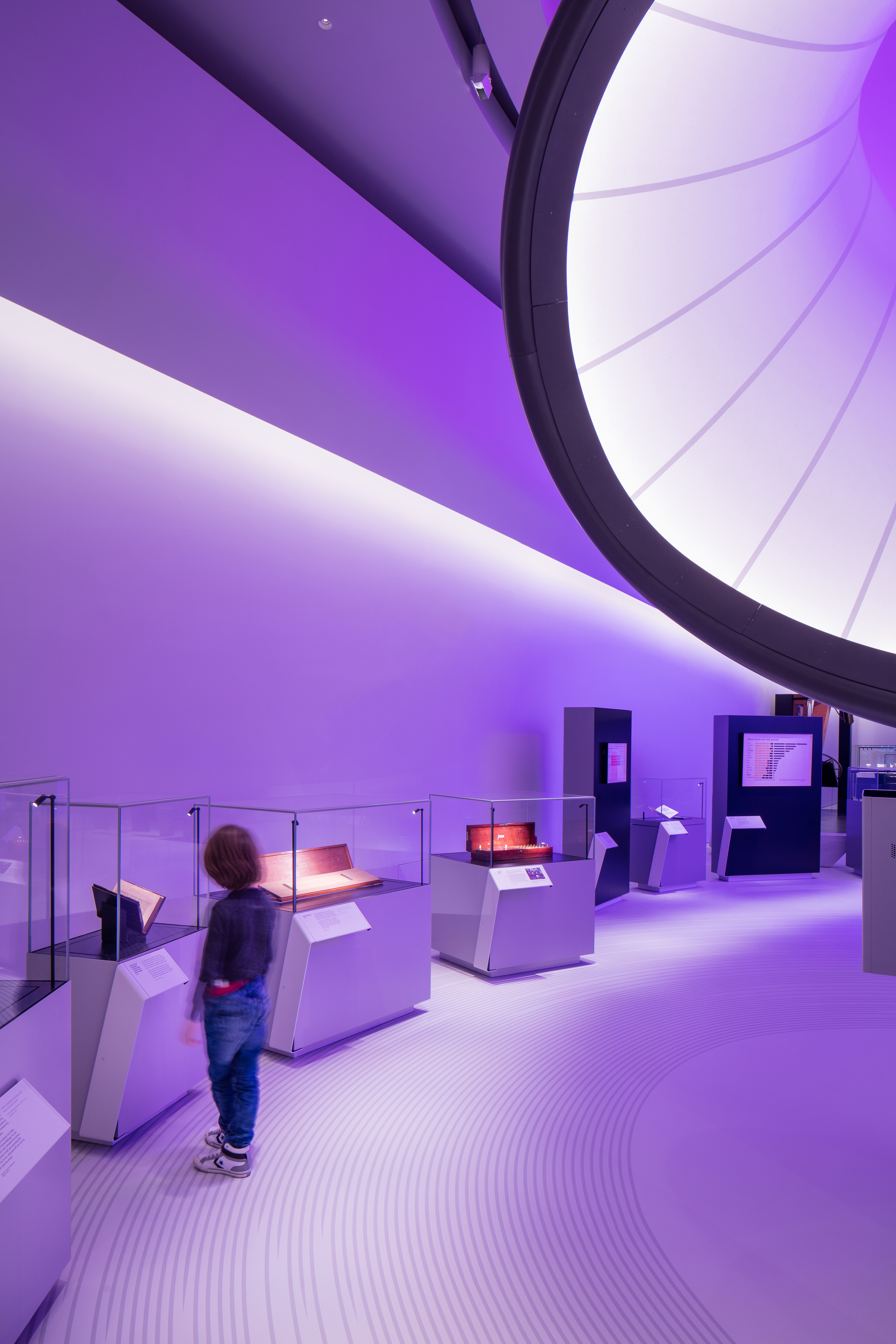 zha_mathematics_the-winton-gallery_ph_lukehayes_02