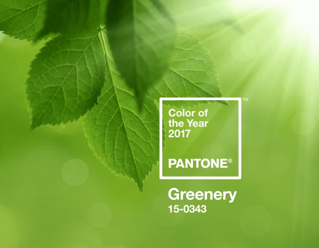 pantone-coy2017-heroshot1-rgb