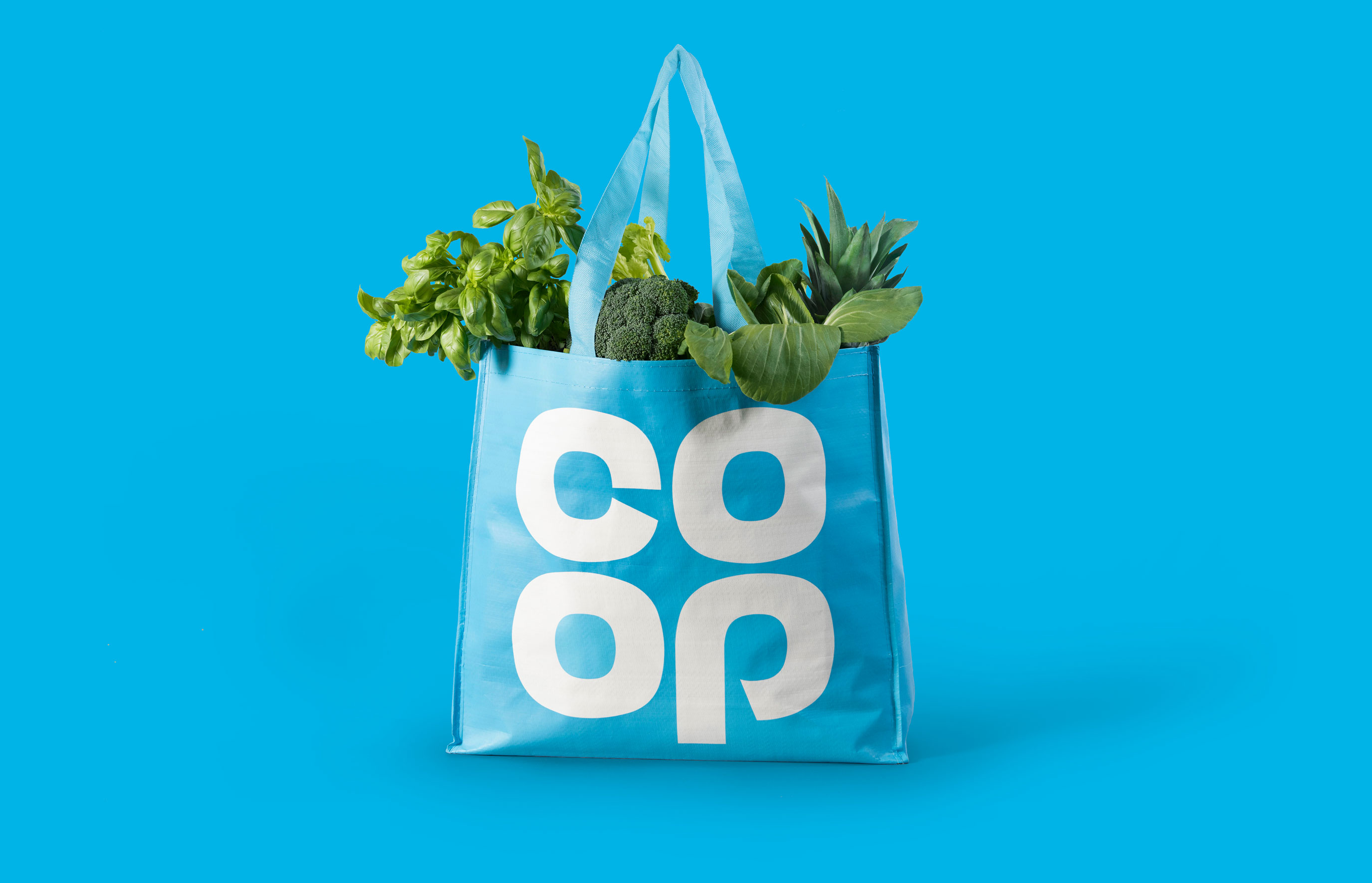 north_coop_001_bag