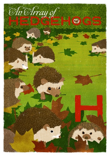 hedgehog-h_collective-nouns-by-minalima