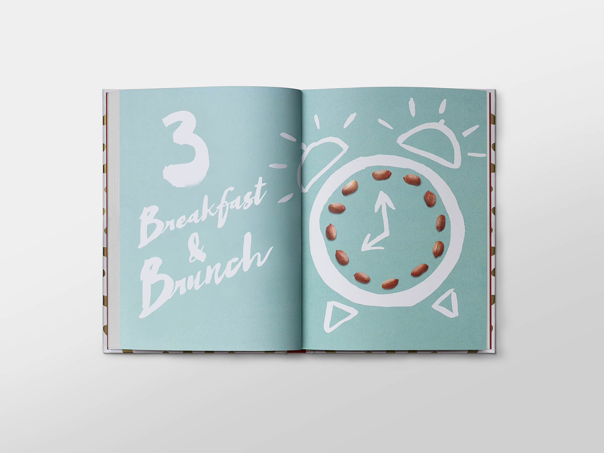 pn_book_page-3_1mb