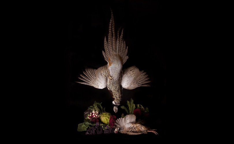 Meat_Bouquet_2_hung_landscape(credit Bompas & Parr)