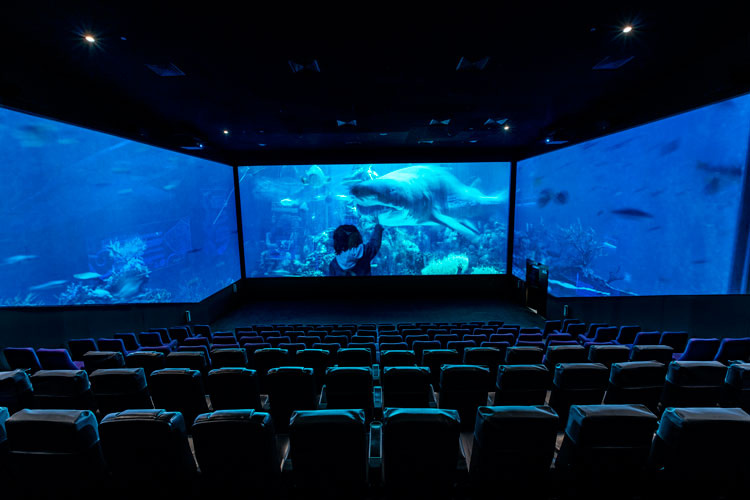 Screen at the Reels Cinema at the Dubai Mall, courtesy of Chapman Taylor