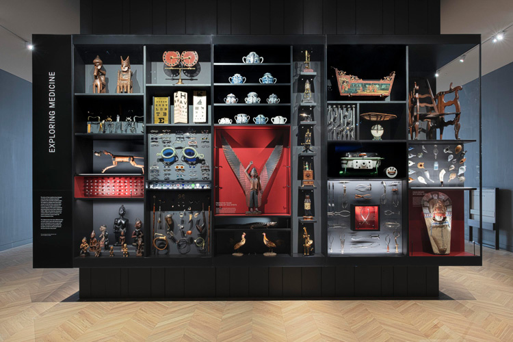 curiosities-display