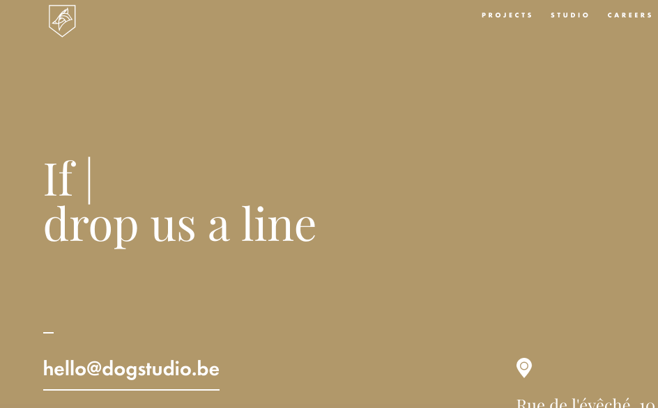 gif_like_dogs