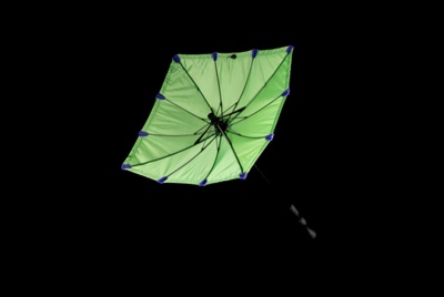 chimney umbrella green