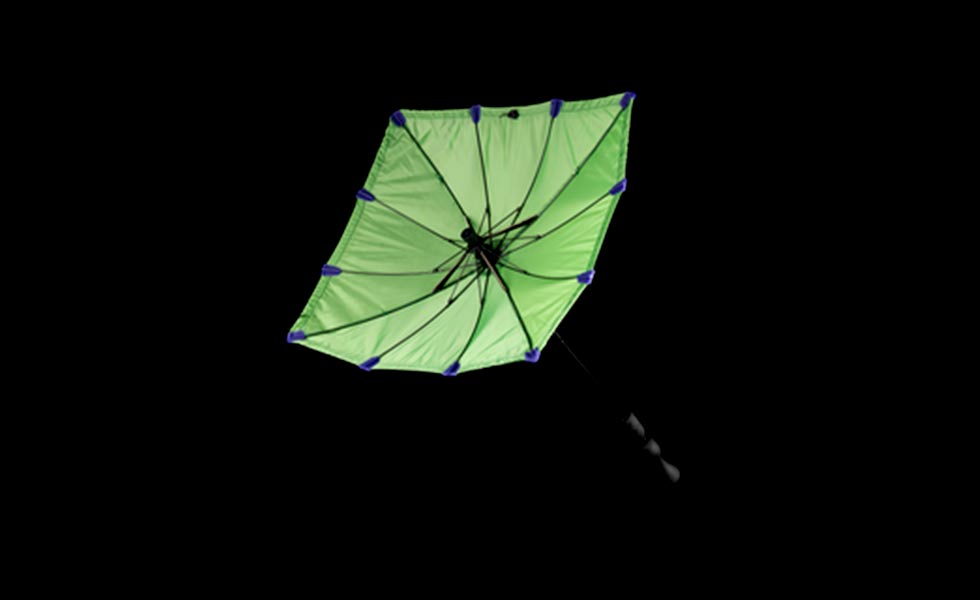 chimney umbrella green