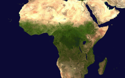 africa_317.gif