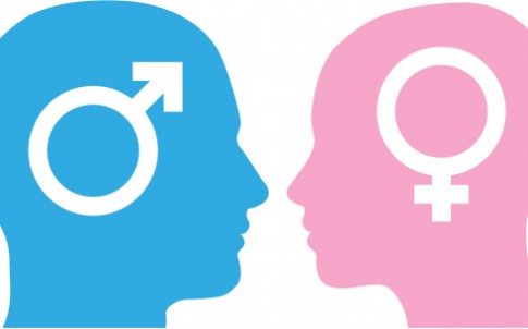 male female gender equality