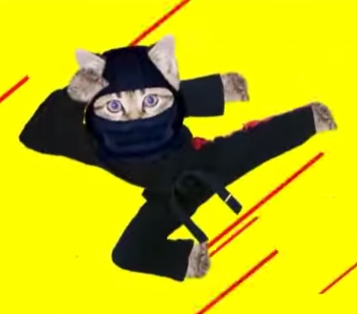 cat=