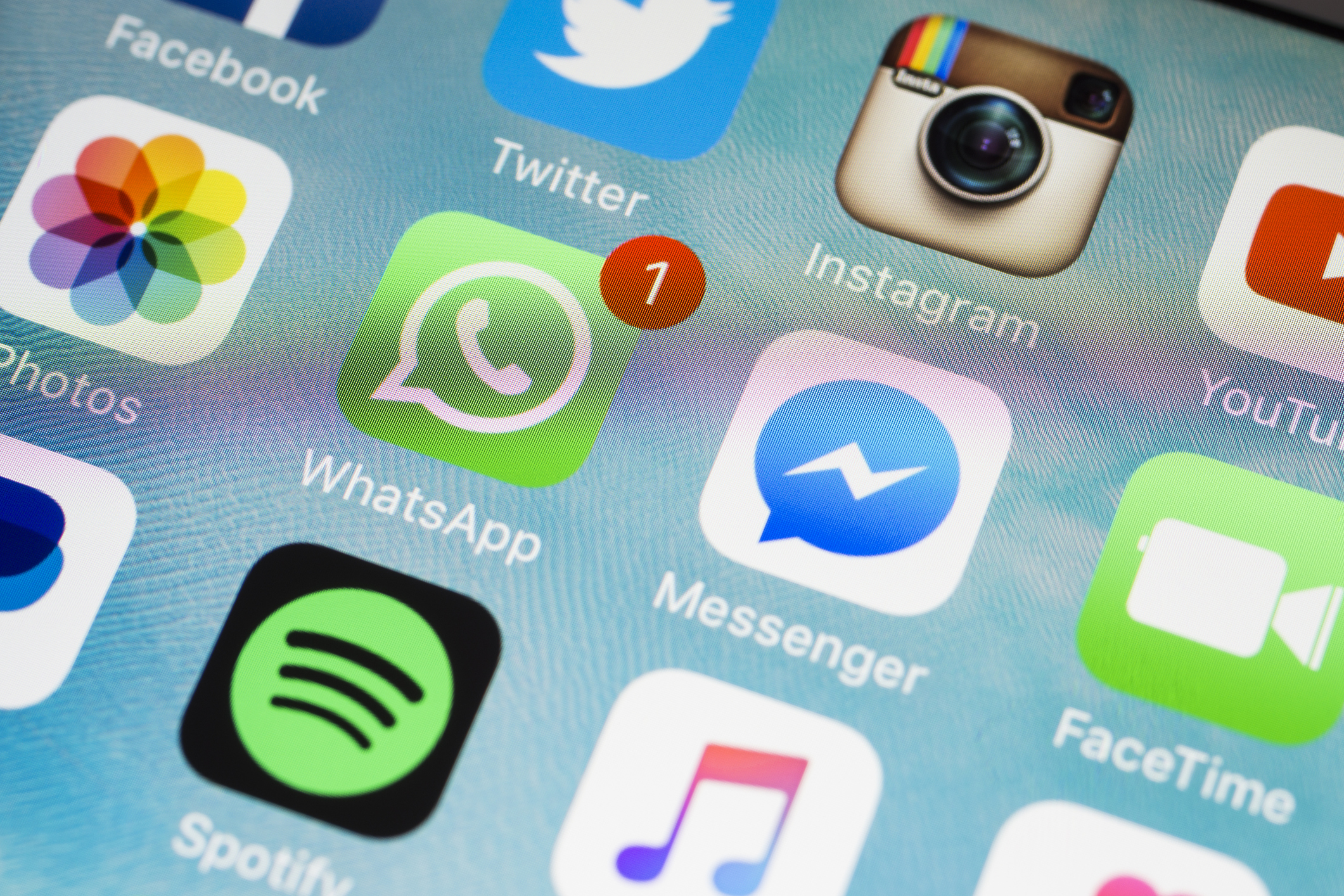 Social Media, app, WhatsApp