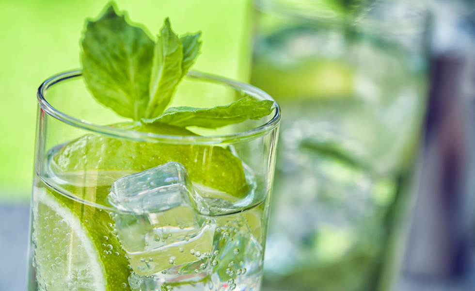 gin and tonic