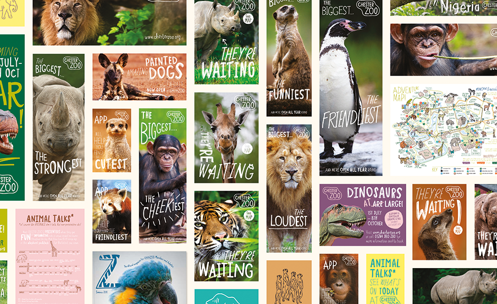 Chester Zoo brand voice