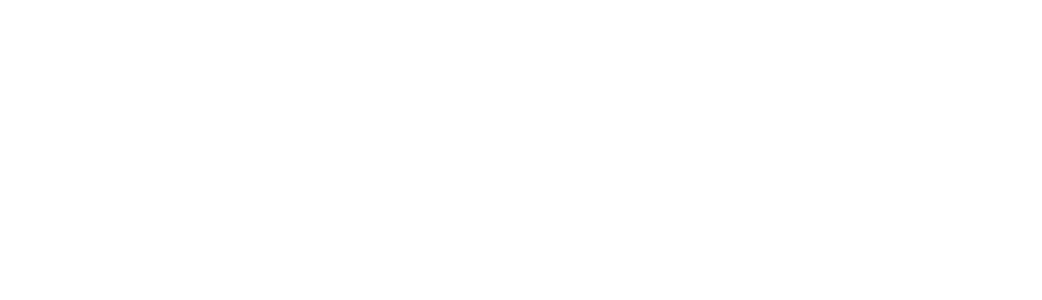 vision-100-header-2