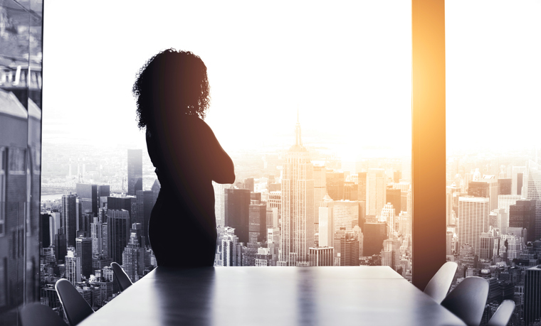 woman silhouette boardroom