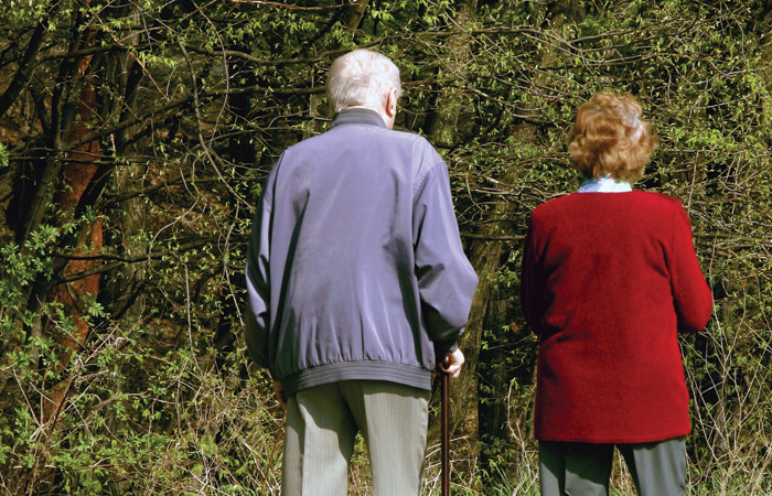 Old-Couple-Elderly-Pension-Pensioners-700.jpg