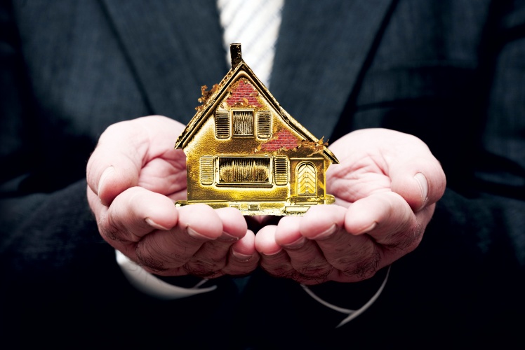 MS-GoldHouse-Feature
