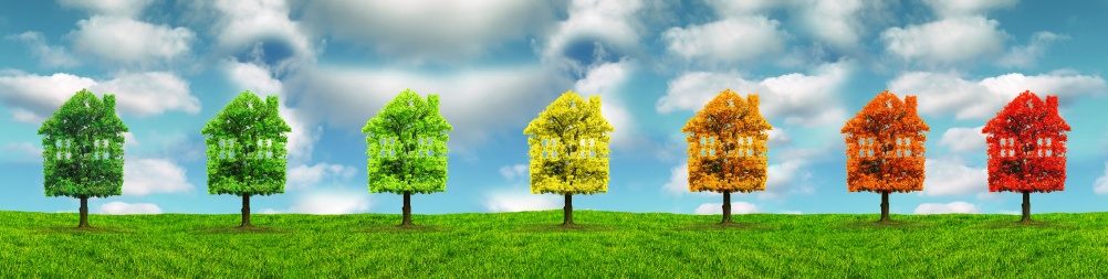 Cover-pic-growth