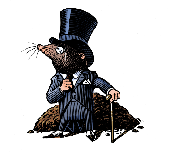 Mortgage Mole-2017