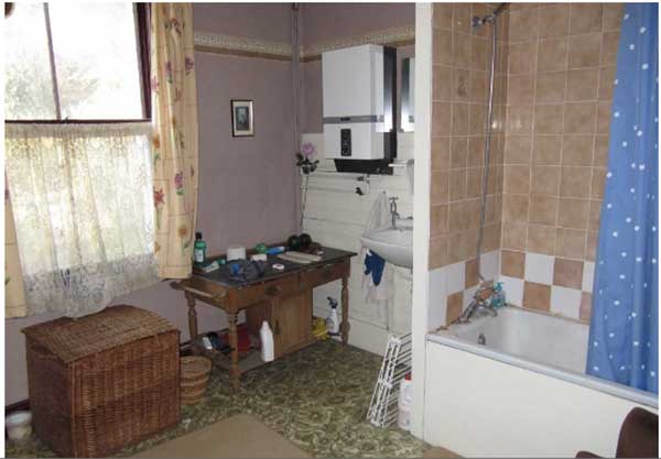 bathroom interior with carpet