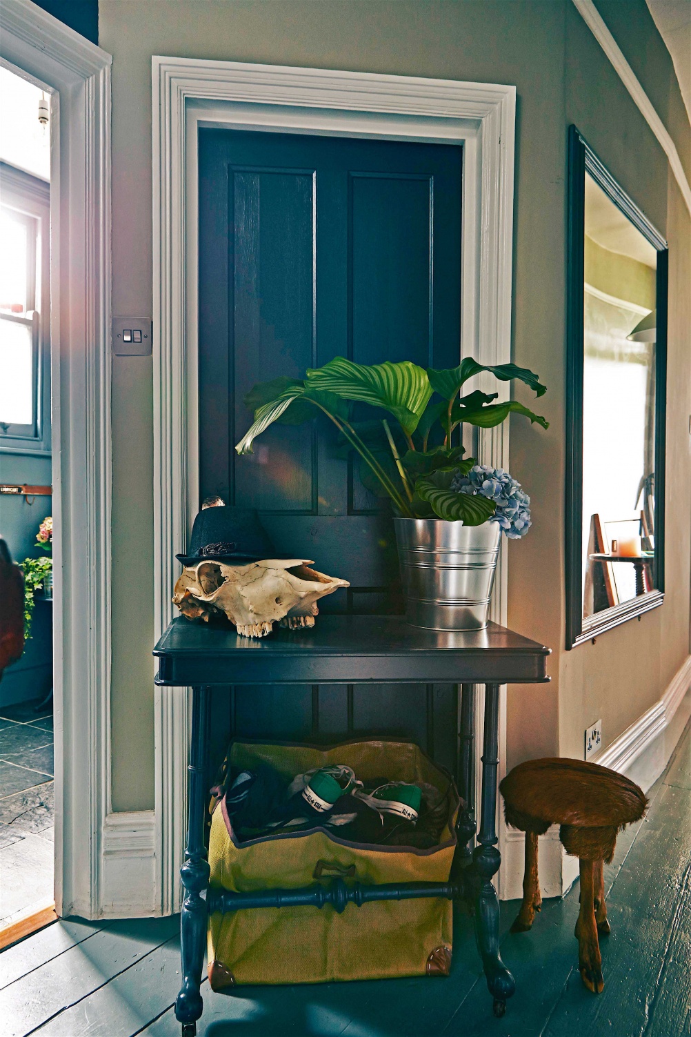 Skull_and_plant_in_hallway