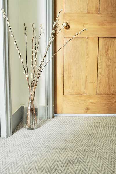 grey-carpet-wooden-door