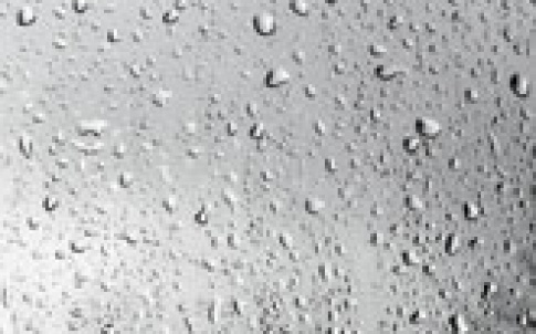 drizzlemakers