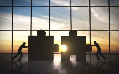 merger jigsaw