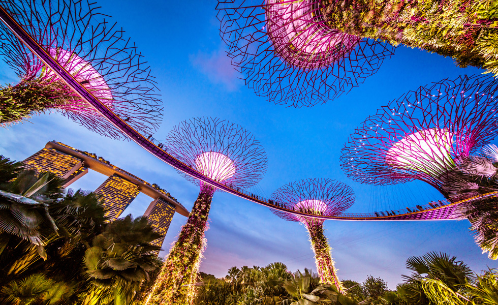 Singapore view in the evening showing buildings and the vegetation