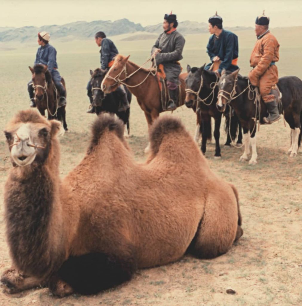 Maurizio Coppolecchia e Pietro Spica "The Immediate Gaze" 3 27 Maurizio Coppolecchia viaggio in Mongolia 1989 mostra The Immediate Gaze bis