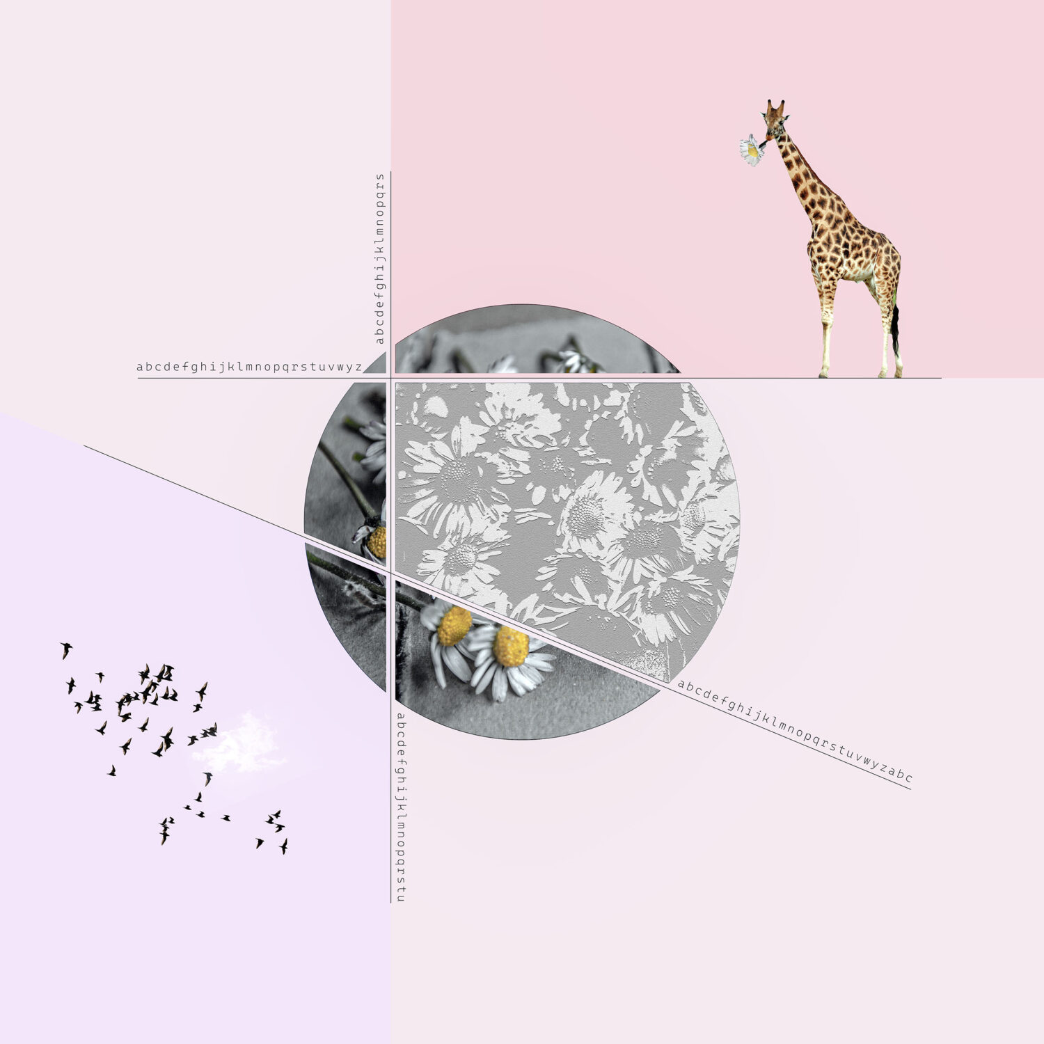 MargheriteGiraffaScritte-01
