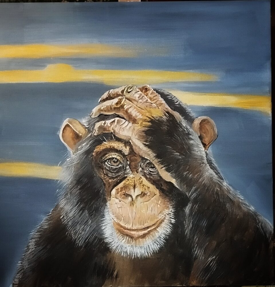 acrilici 50 x 50
