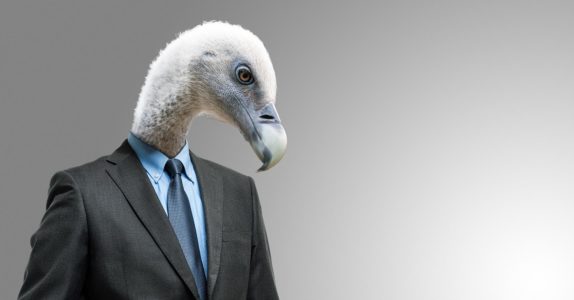 5-burlas-financeiras