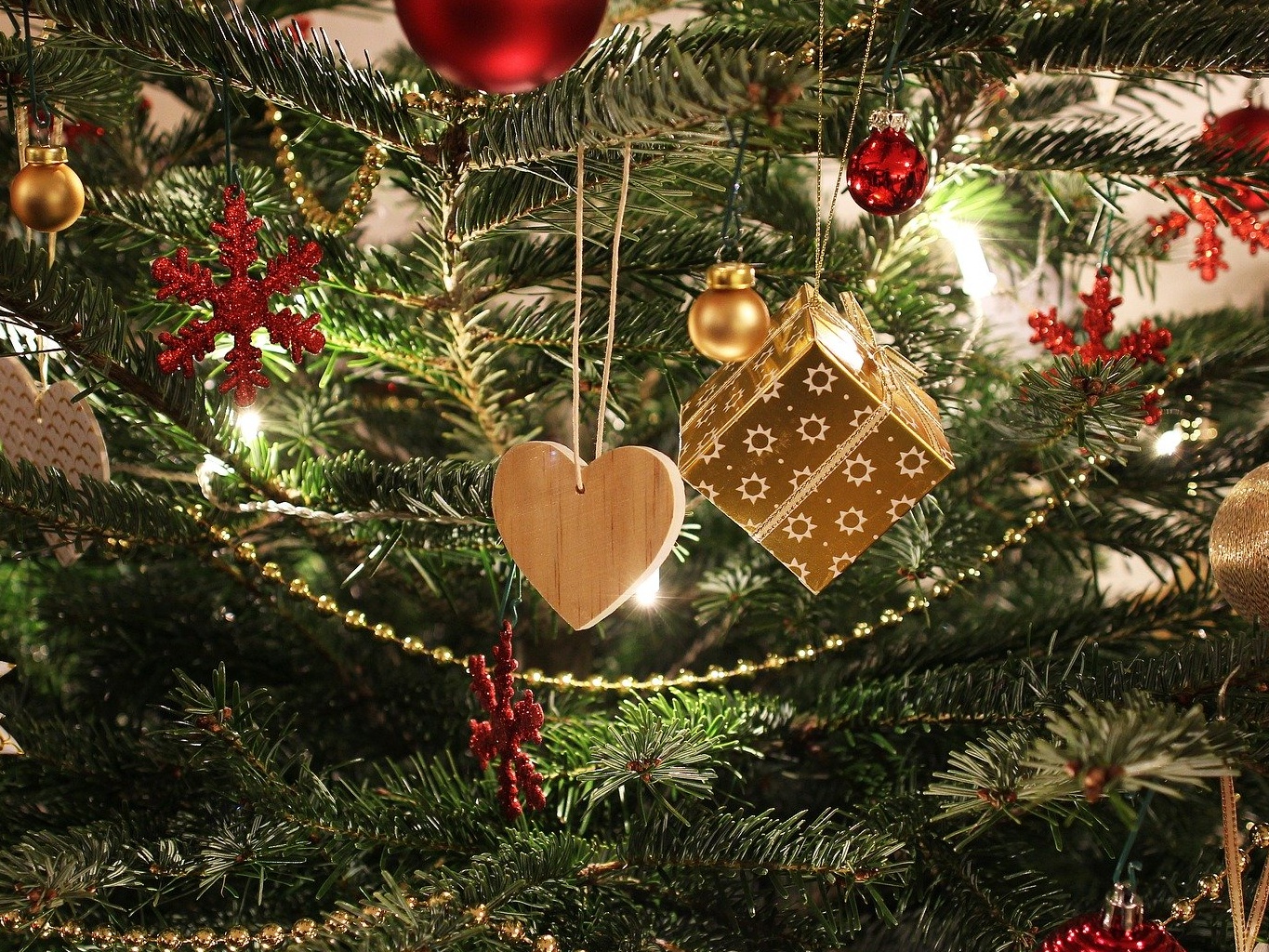 Weihnachtsbaum Kaufen Soll Es Ein Echter Oder Kunstlicher Baum