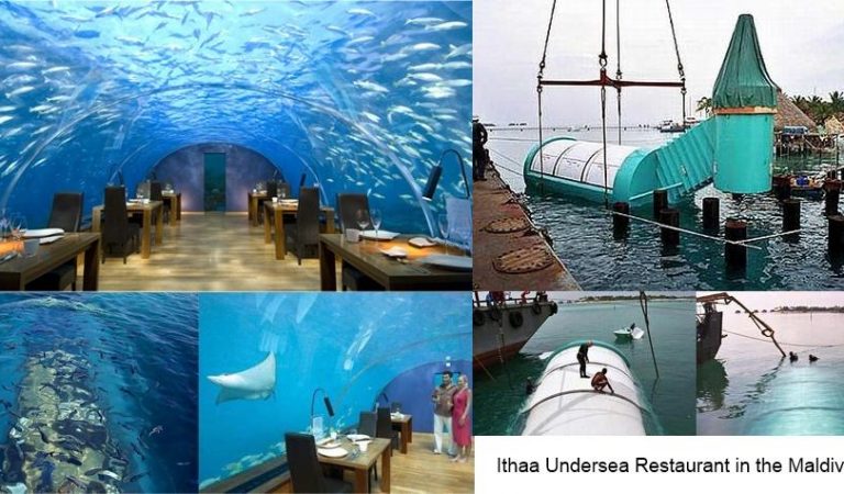 Deniz altında saçınızın teli ıslanmadan yemek yemek İthaa Undersea Restaurant ile mümkün Deniz altında saçınızın teli ıslanmadan yemek yemek İthaa Undersea Restaurant ile mümkün