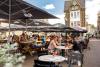terras dordt