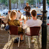 Terras dordt