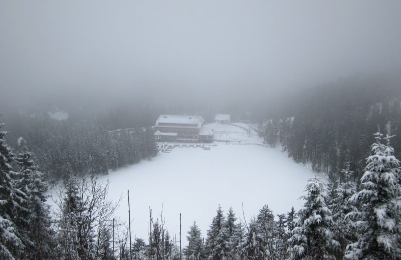 Blick von der Hornisgrinde auf den Mummelsee