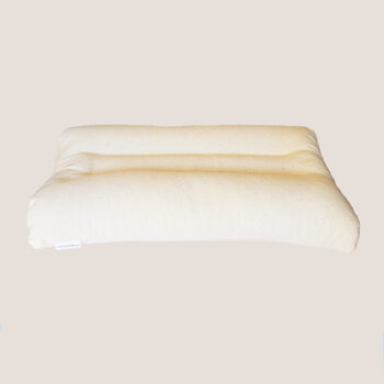 100 Organic Buckwheat Hull Cervical Neck Pillow Eco Health Lab