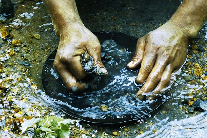 seeking gold
