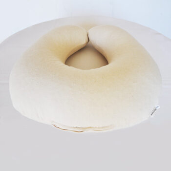Organic Travel Buckwheat Husk Pillow Eco Health Lab
