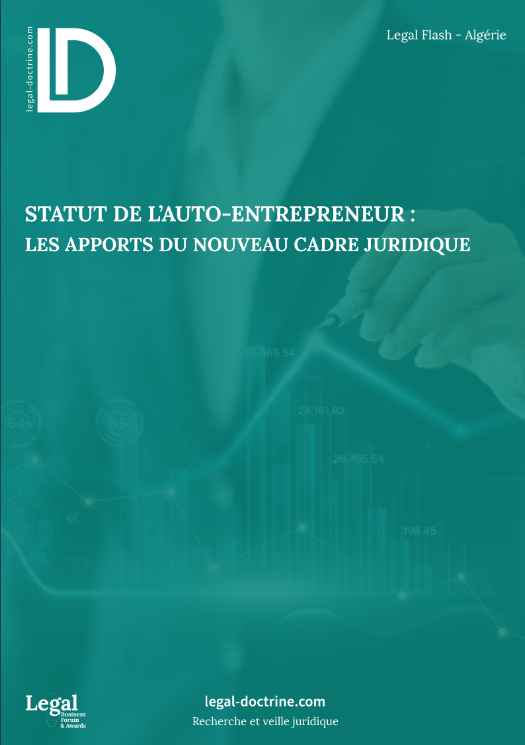 Statut de l'auto-entrepreneur : Les apports du nouveau cadre juridique