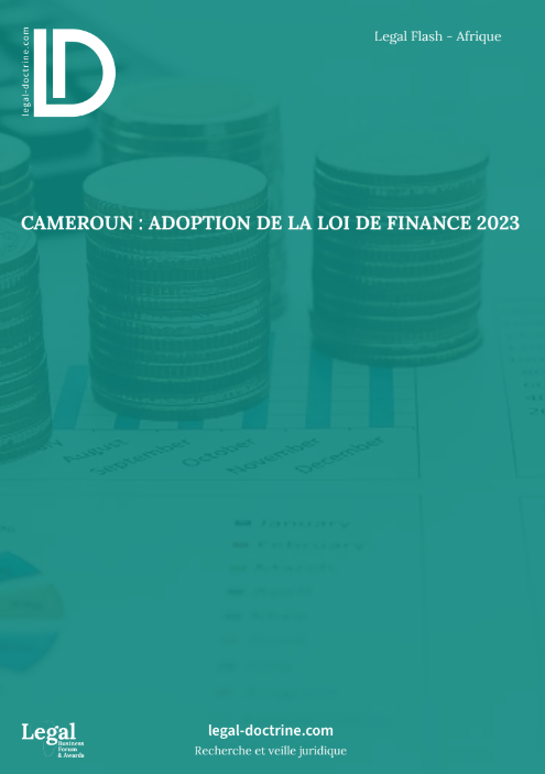 Cameroun : adoption de la loi de finance 2023