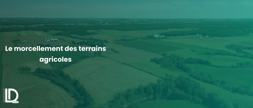 Illustration de l’article Le morcellement des terrains agricoles