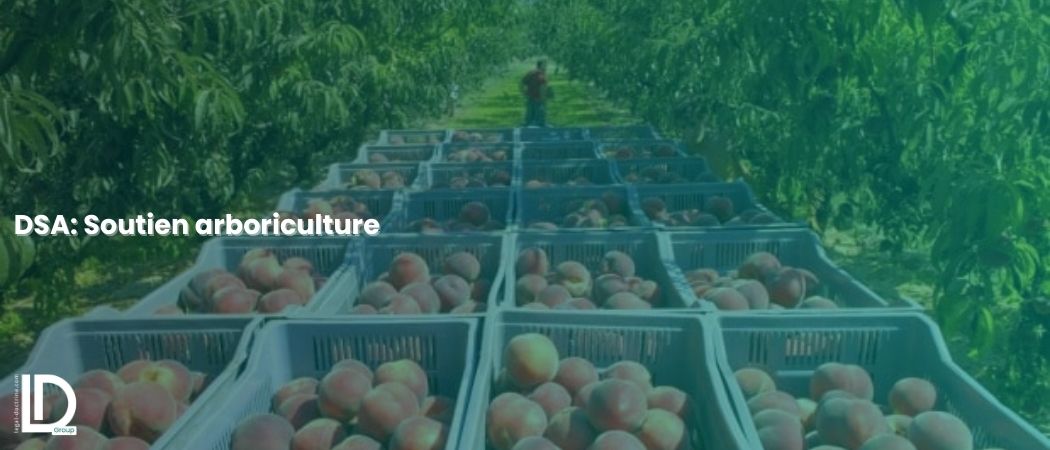 Illustration de l’article DSA: soutien arboriculture