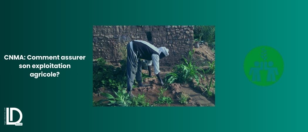 Illustration de l’article CNMA: Comment assurer son exploitation agricole?