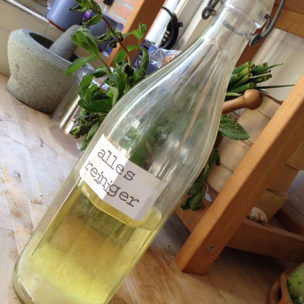Foto einer Flasche mit Do-it-yourself-Reiniger