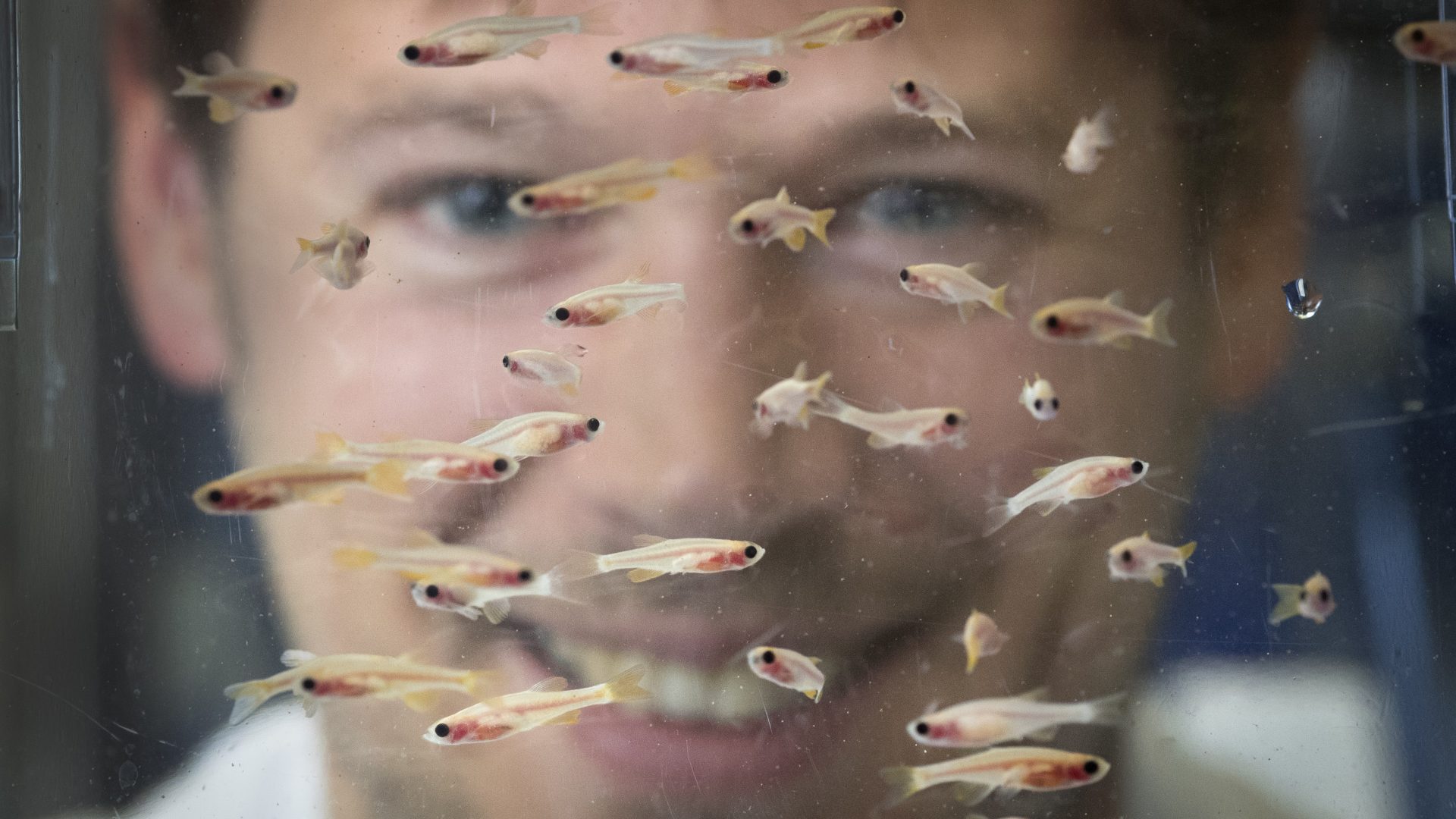 Tjakko van Ham