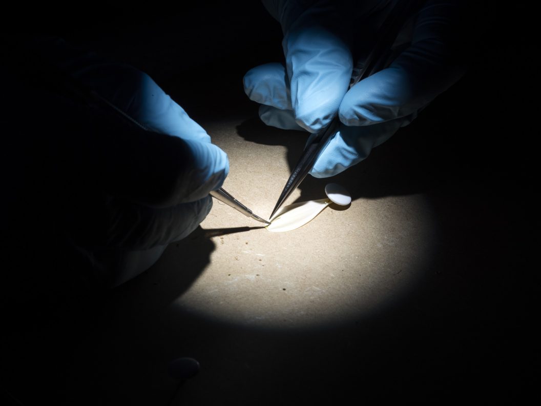 chirurgie bloemblaadje