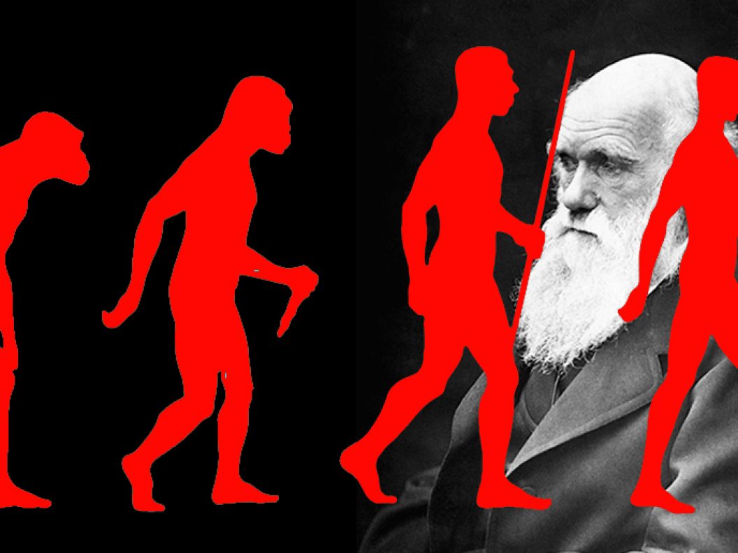 evolution3